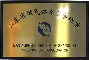 山东省燃气协会常务理事
